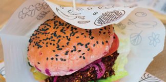 Soy Free Meat Alternatives