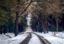 Exercises you can do in the winter Snowy trail