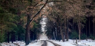 Exercises you can do in the winter Snowy trail