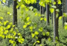 History of Earth Day