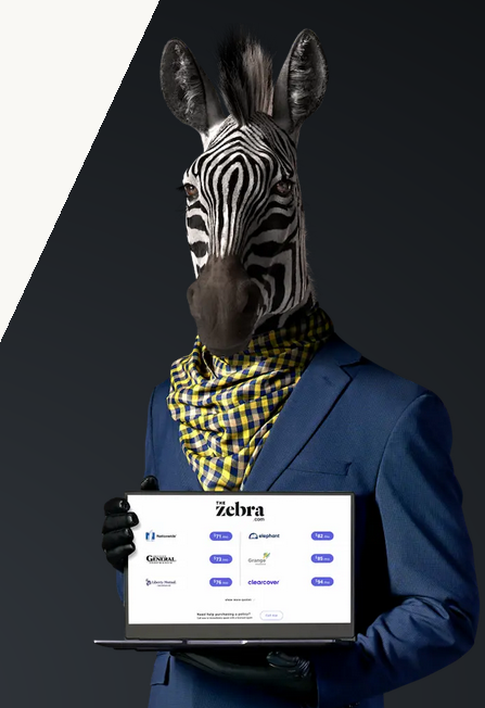 Screenshot 2024-11-14 at 00-31-38 The Zebra Instantly Compare Insurance Quotes