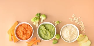 Pureed Diet Nutritious Options for Weight Gain