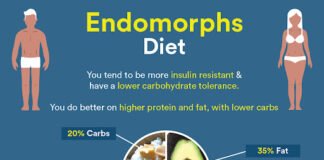 Endomorph Diet Plan for Weight Loss