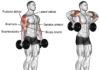 Monkey Shoulders Exercise Improve Shoulder Health