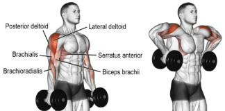 Monkey Shoulders Exercise Improve Shoulder Health Monkey Shoulders Exercise Improve Shoulder Health