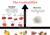 Vertical Diet Weight Loss Tips for Faster Results