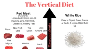 Vertical Diet Weight Loss Tips for Faster Results