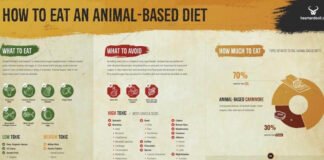 Animal Based Diet Food List for Weight Loss