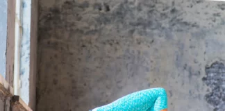 Hip Impingement Exercises for Joint Health Hip Impingement Exercises for Joint Health