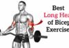 Long Head Bicep Exercises to Improve Arm Shape