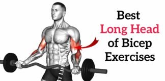 Long Head Bicep Exercises to Improve Arm Shape Long Head Bicep Exercises to Improve Arm Shape