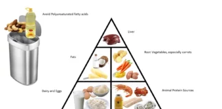 Ray Peat Diet Benefits for Health