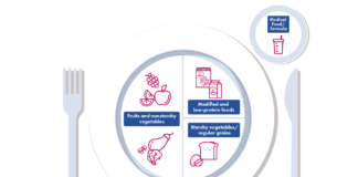 PKU Diet Meal Plan for Better Nutrition